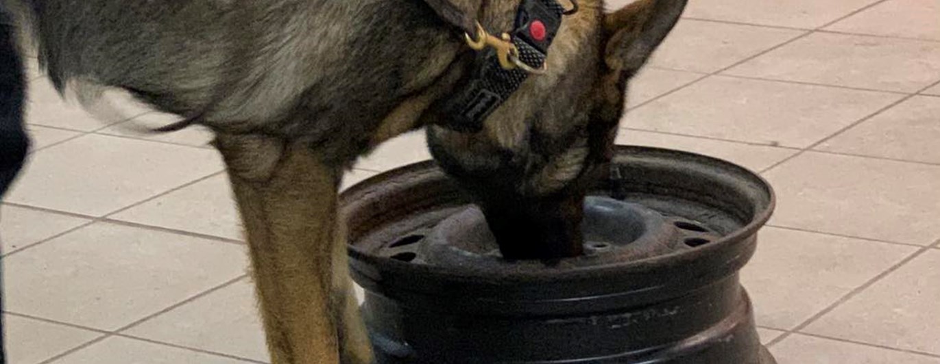 specialsök inlärning