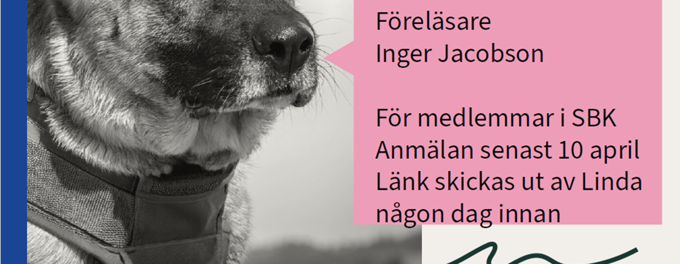 Foreläsning