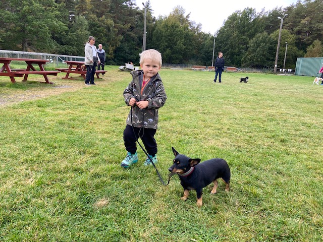 En liten pojke som går med sin hund.