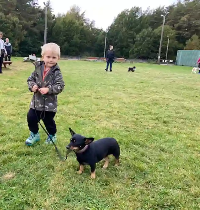 En liten pojke som går med sin hund.