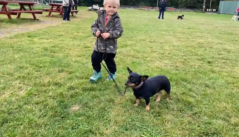 En liten pojke som går med sin hund.