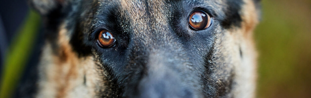 Bild från Studiefrämjandet