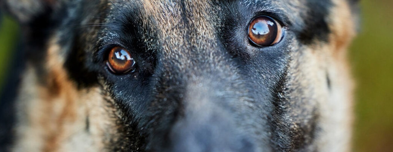 Bild från Studiefrämjandet