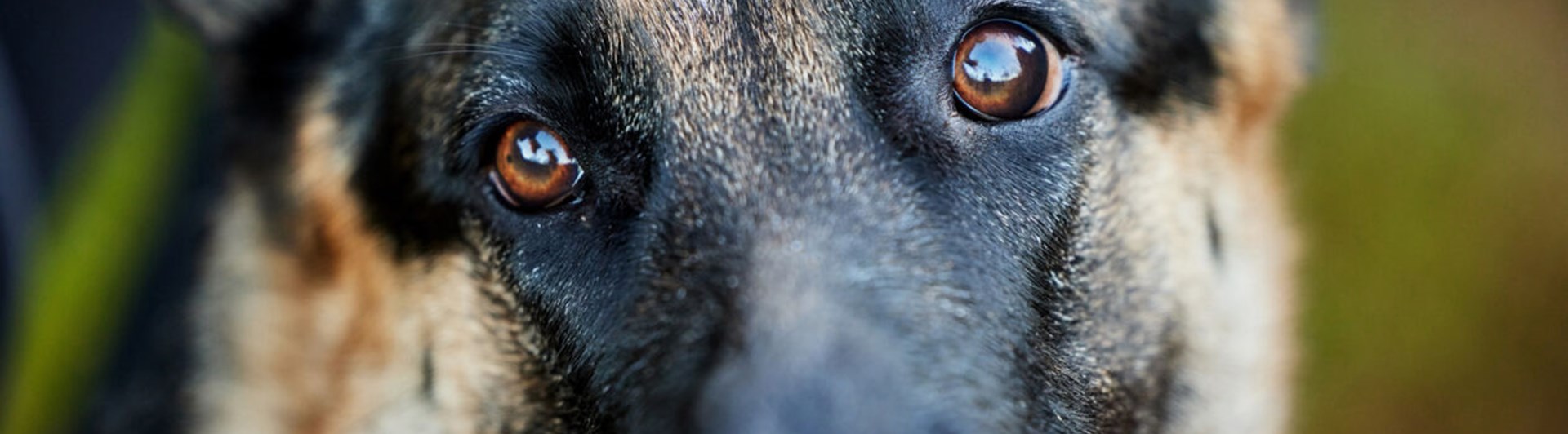 Bild från Studiefrämjandet