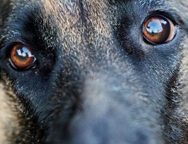 Bild från Studiefrämjandet