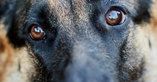 Bild från Studiefrämjandet