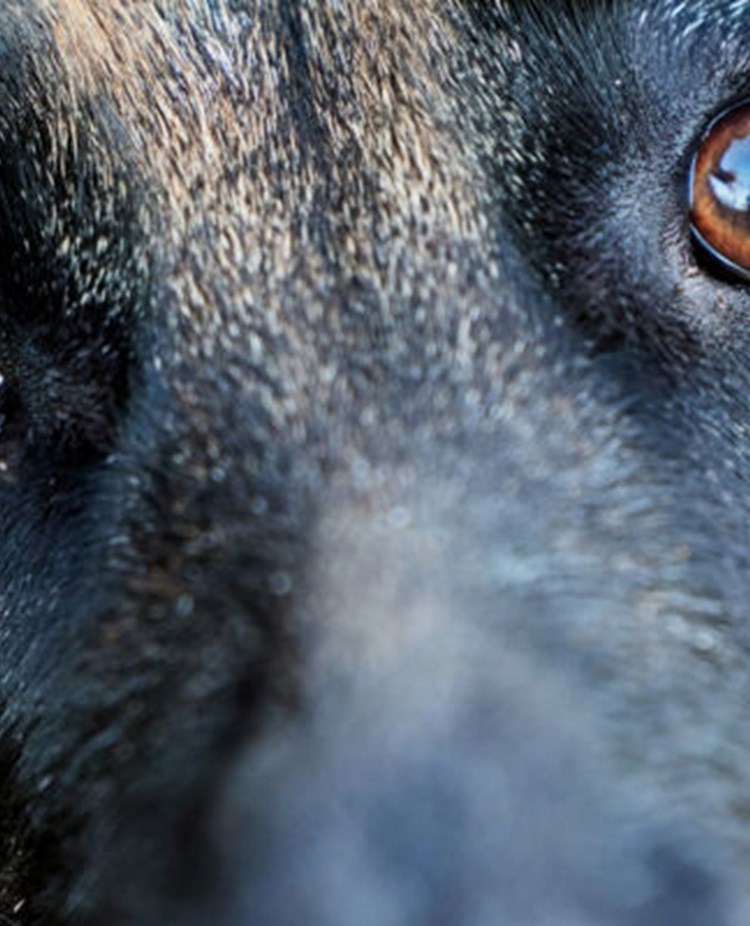 Bild från Studiefrämjandet