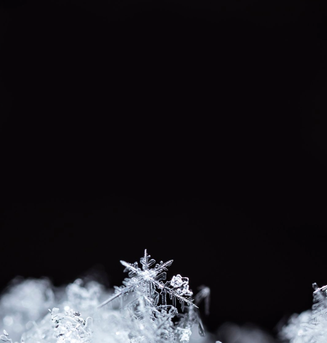 Snö som glittrar mot svart bakgrund