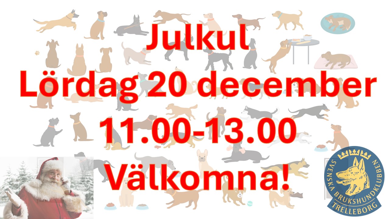 Inbjudan till Julkul 20 december 2025 11.00-13.00