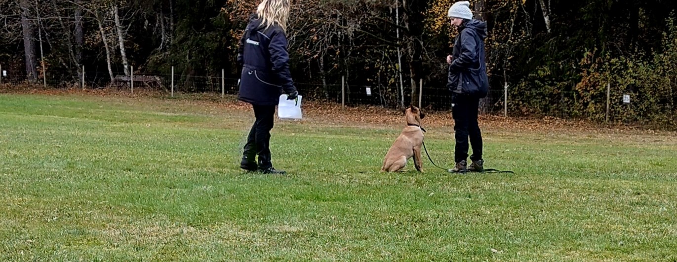 Instruktioner till kursdeltagre.