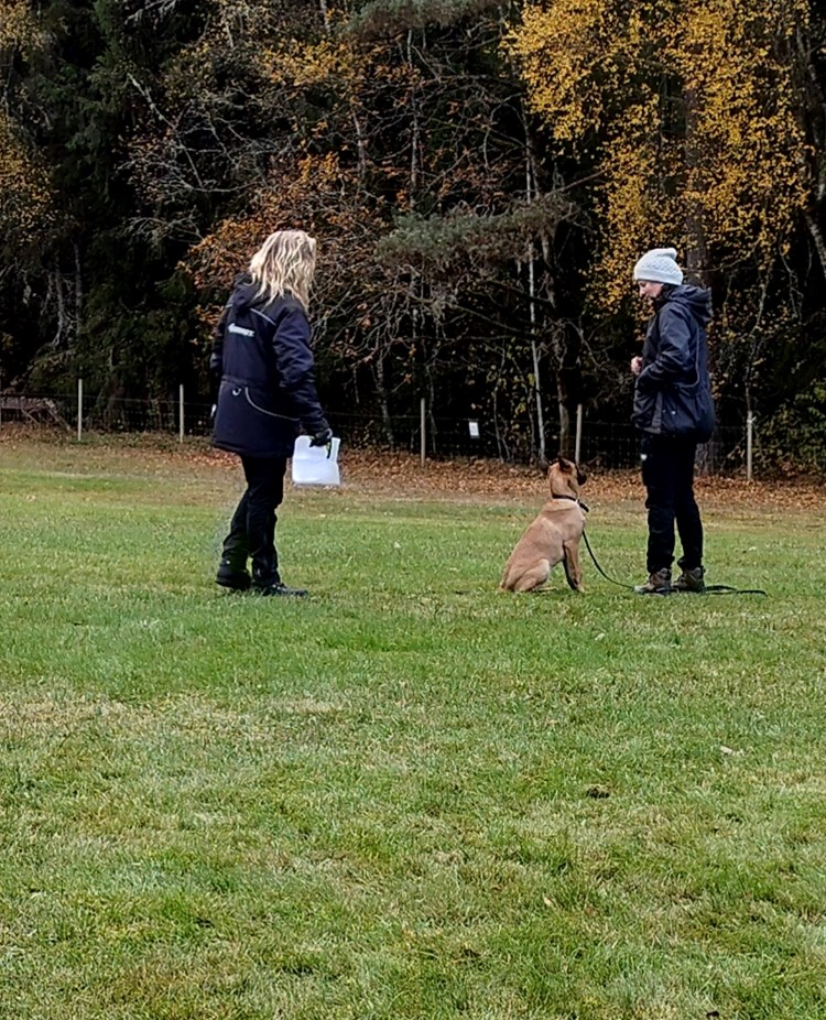 Instruktioner till kursdeltagre.