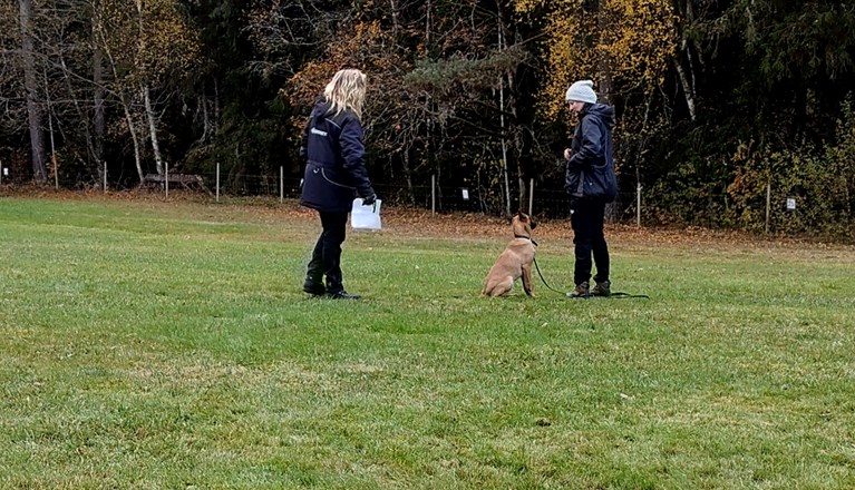 Instruktioner till kursdeltagre.