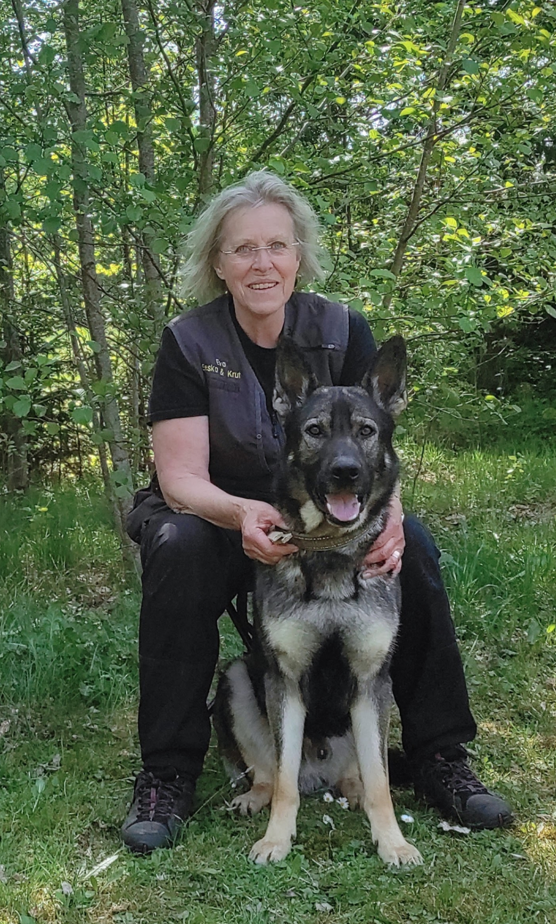 Årets Hund 2025 Jönköpings Brukshundklubb
