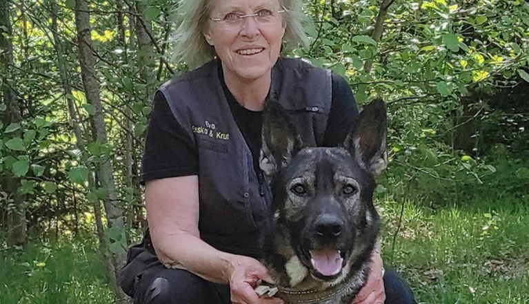 Årets Hund 2025 Jönköpings Brukshundklubb