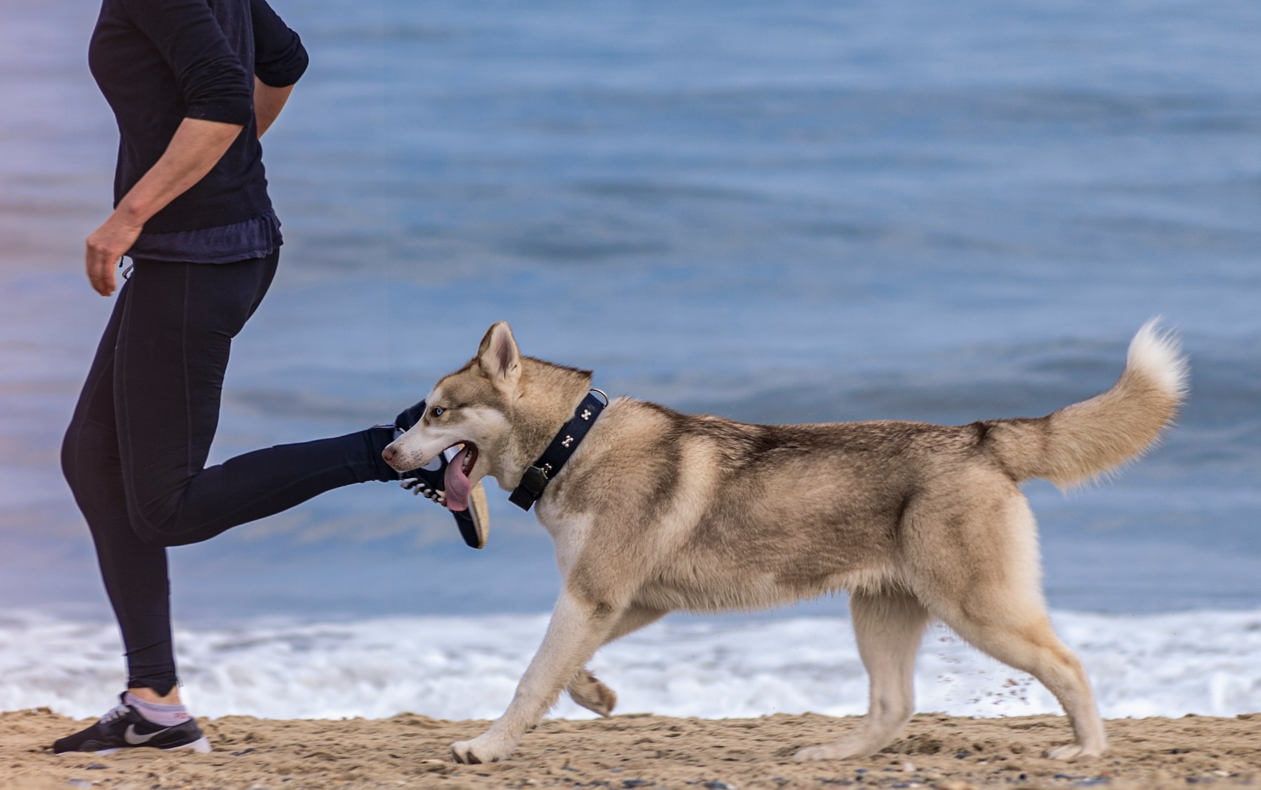 Foto: Magdalena Smolnicka  - Unsplahs
