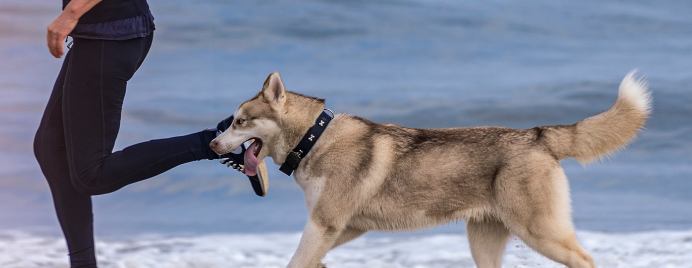 Foto: Magdalena Smolnicka - Unsplahs