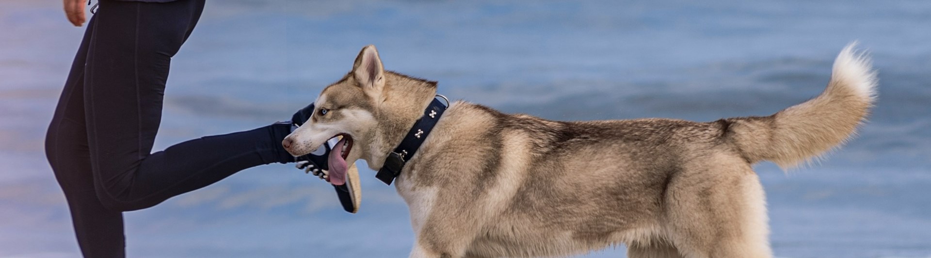 Foto: Magdalena Smolnicka - Unsplahs