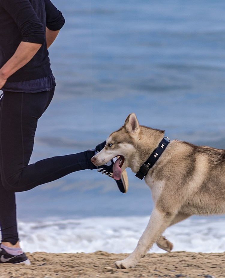 Foto: Magdalena Smolnicka - Unsplahs