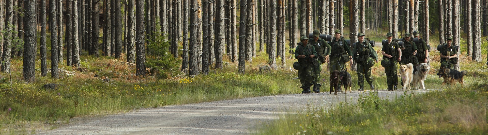 Fotograf: Magnus Fröderberg