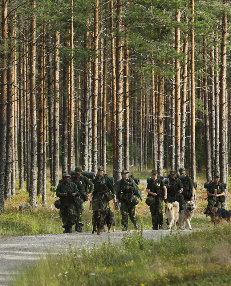 Fotograf: Magnus Fröderberg