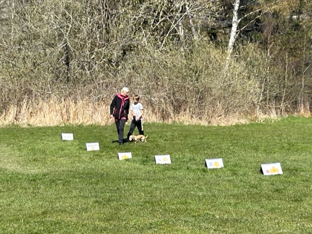Torslanda-Öckerö Brukshundklubb
