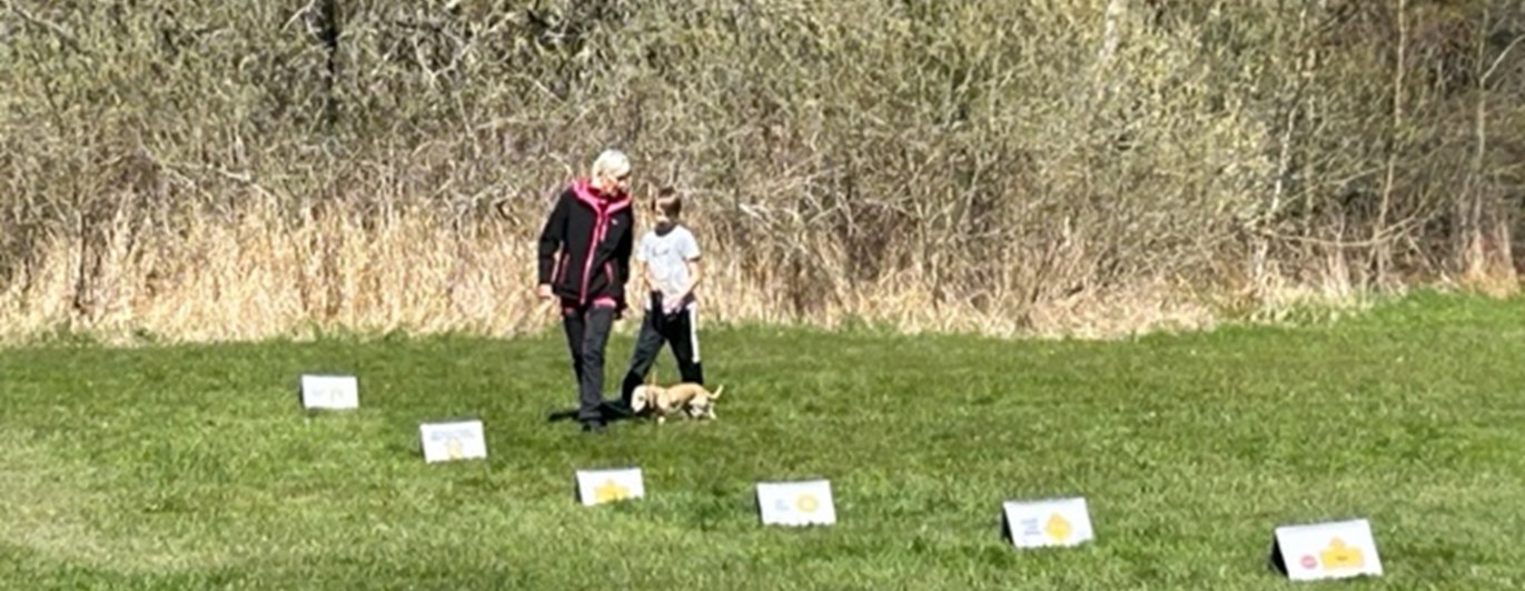 Torslanda-Öckerö Brukshundklubb