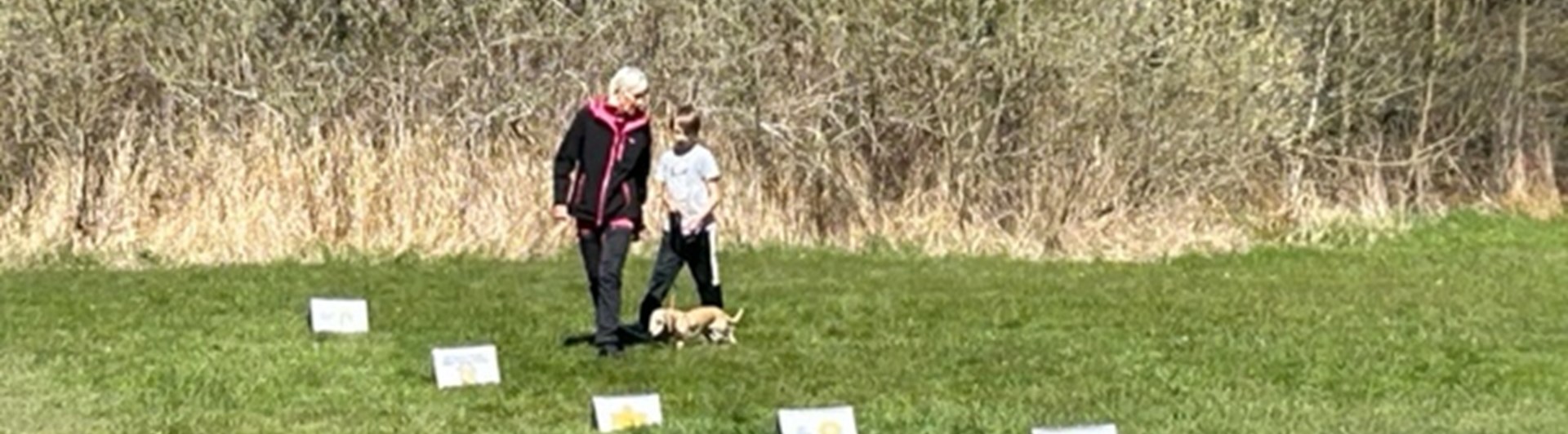 Torslanda-Öckerö Brukshundklubb