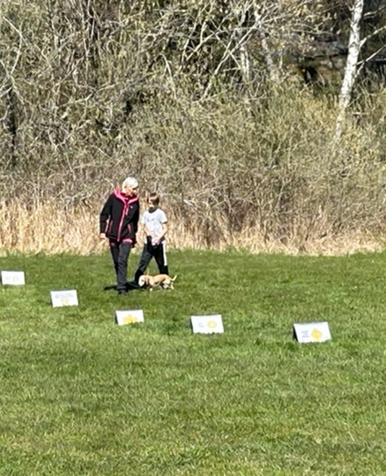 Torslanda-Öckerö Brukshundklubb