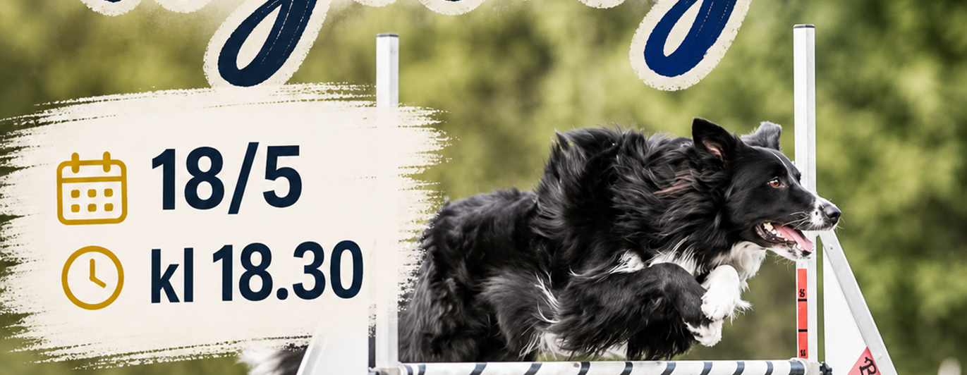 Prova på agility