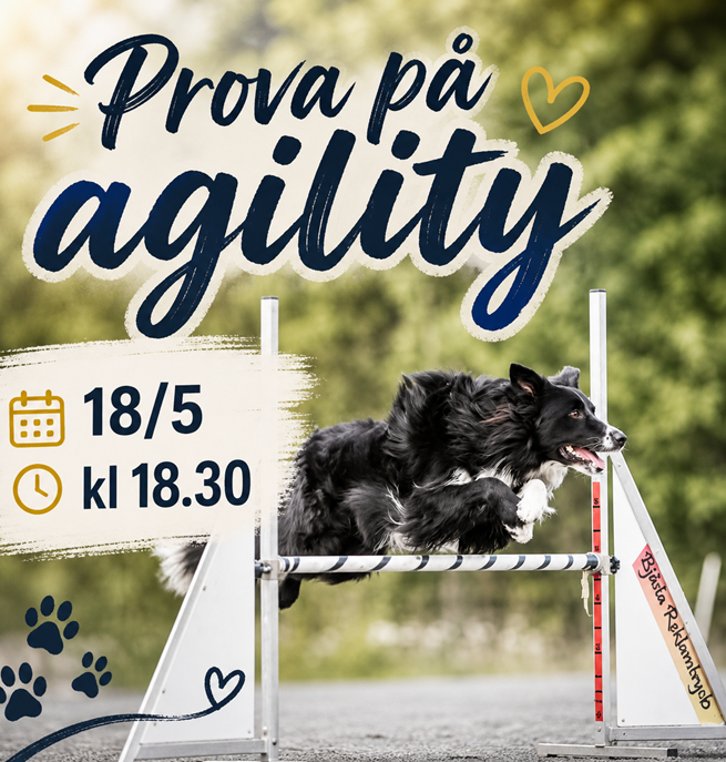 Prova på agility