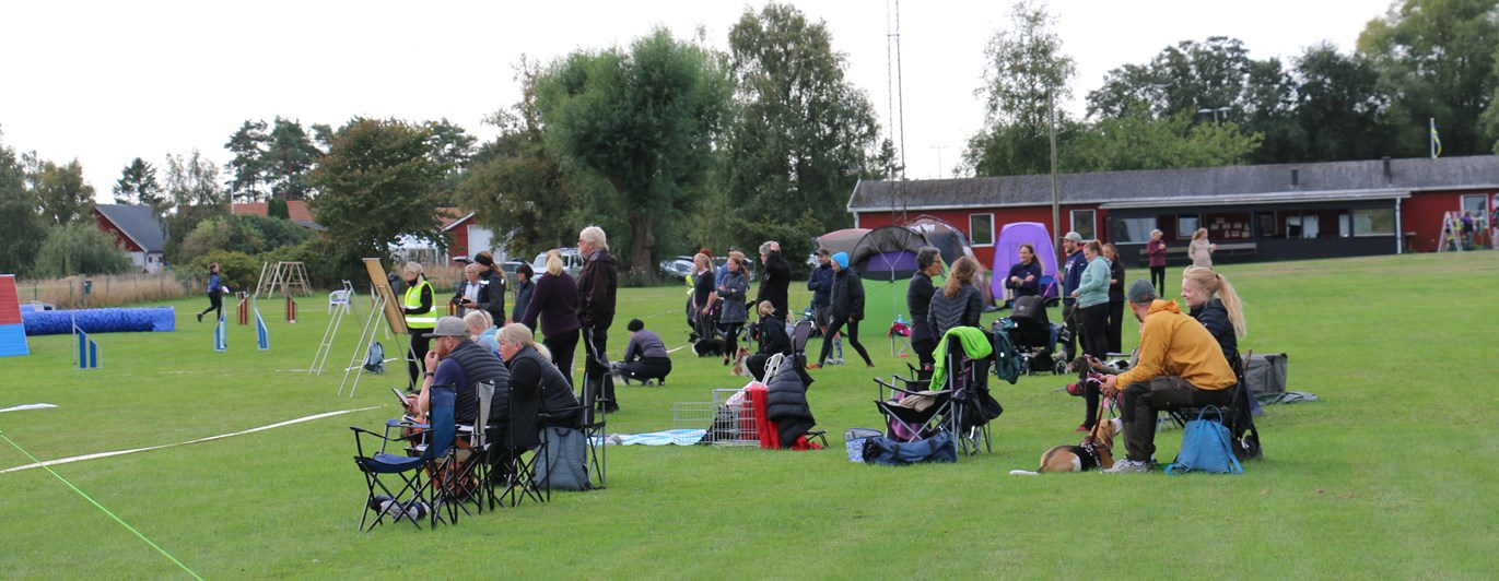 Bild från tävling på Trelleborgs Brukshundklubb