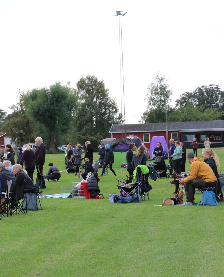 Bild från tävling på Trelleborgs Brukshundklubb