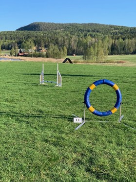 Agilityhinder på Kramfors Brukshundklubb