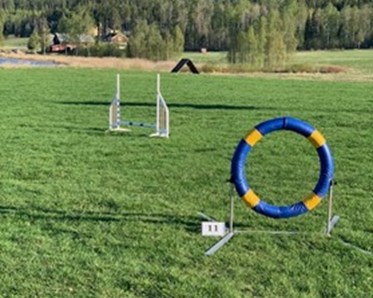 Agilityhinder på Kramfors Brukshundklubb