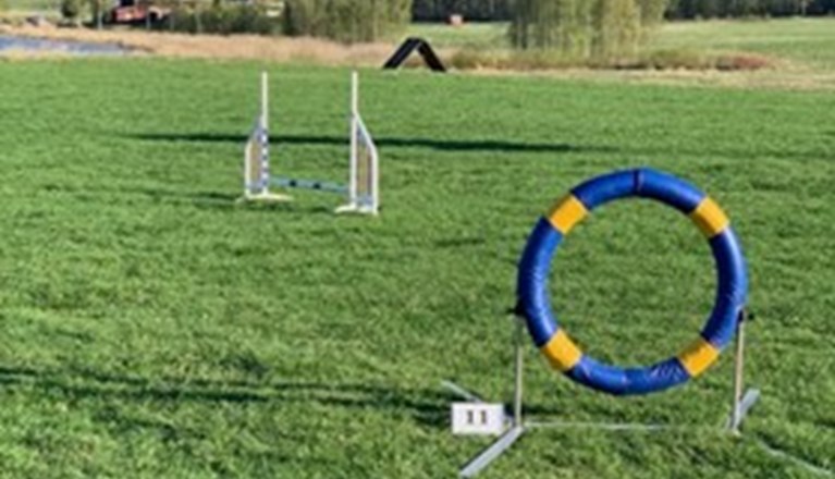 Agilityhinder på Kramfors Brukshundklubb