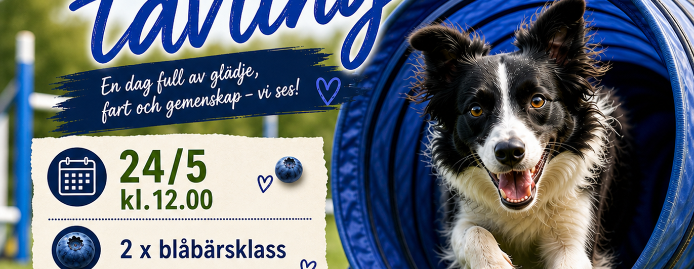 Blåbärstävling