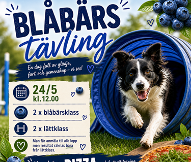 Blåbärstävling