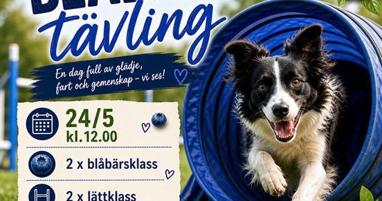 Blåbärstävling