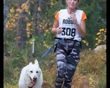 Kvinna som springer med hund i sele framför sig
