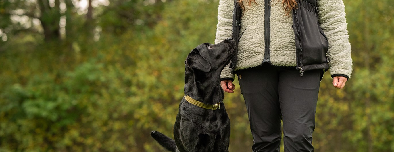 Balansträning på pall