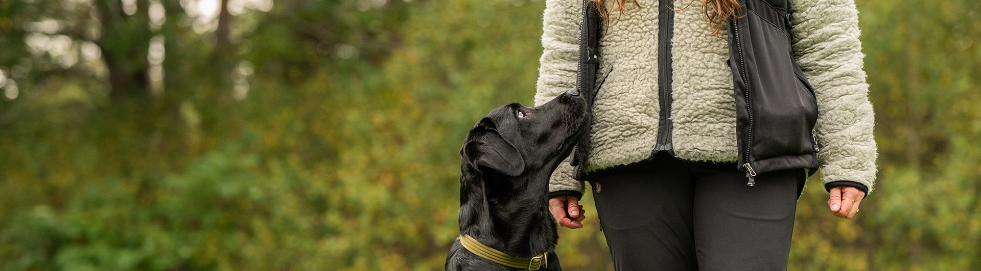 Balansträning på pall