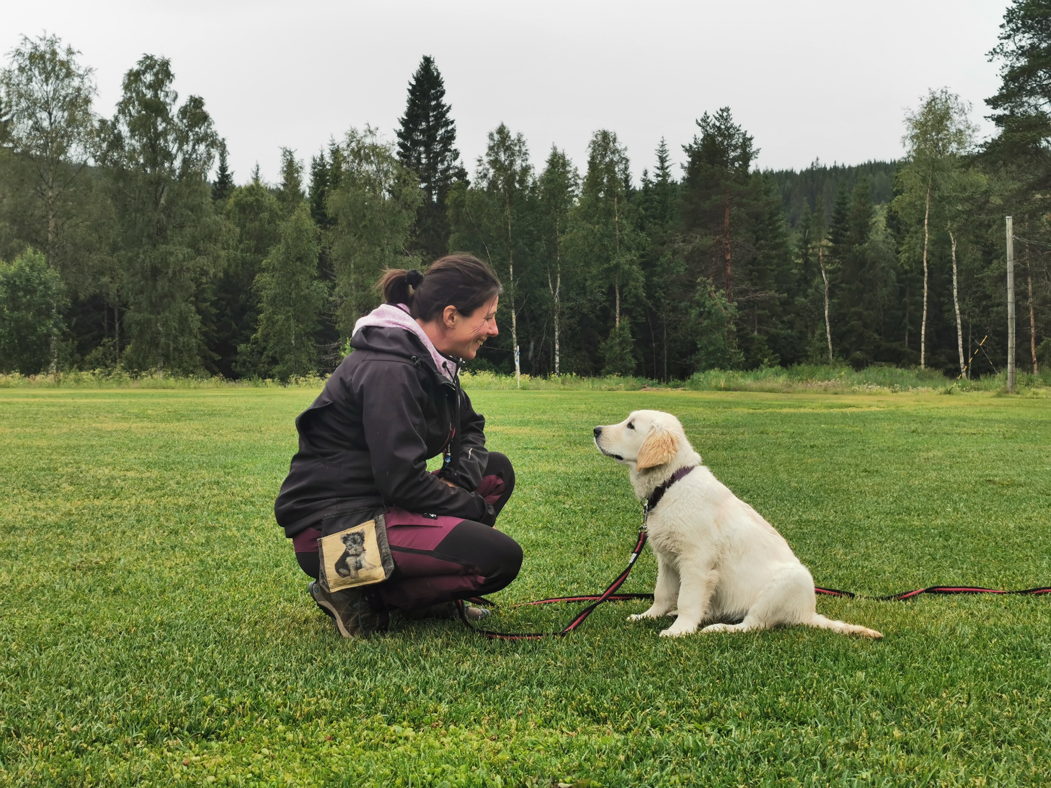 Valp tittar på sin ägare - profilbild.