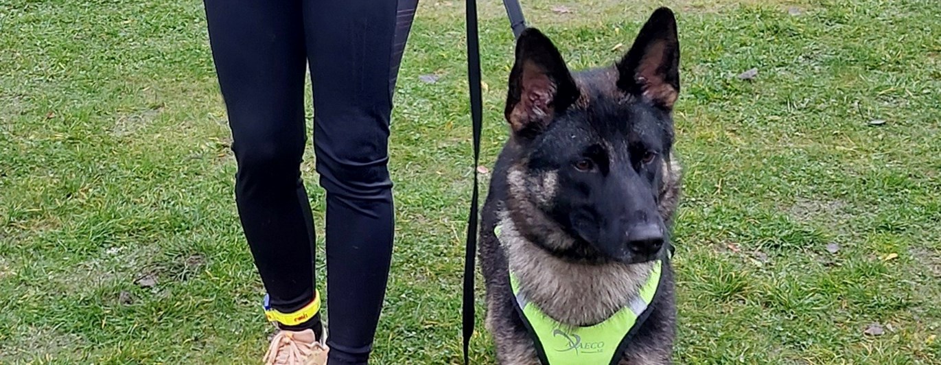 Åsa Yttergren & Kajsa