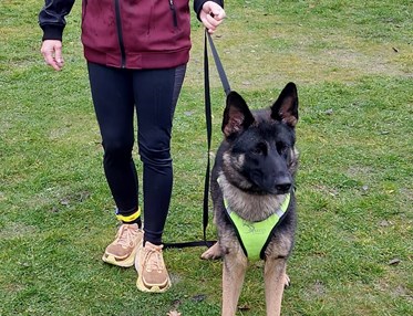 Åsa Yttergren & Kajsa