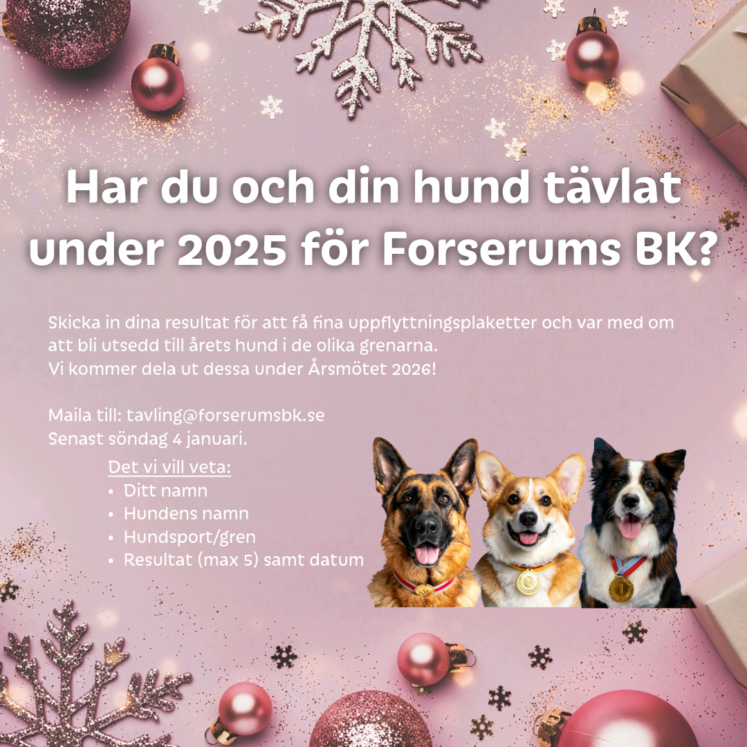 Årets hund forserums brukshundklubb hur man deltar