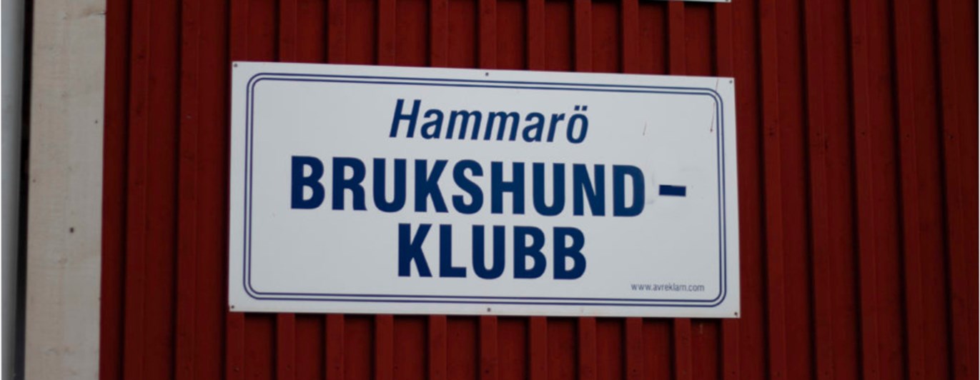 Skylt med texten: "Välkommen till Hammarö Brukshundklubb".