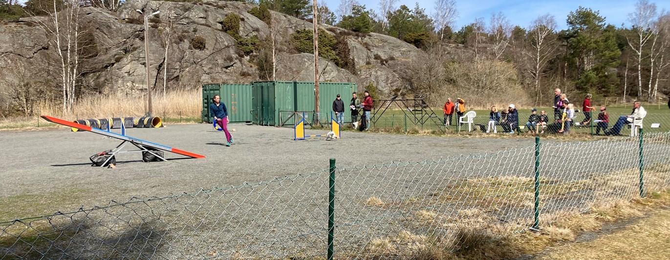 Grusplanen med agilitybana