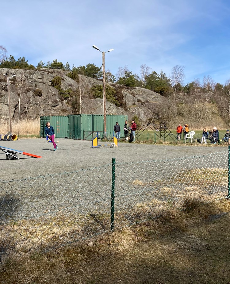 Grusplanen med agilitybana
