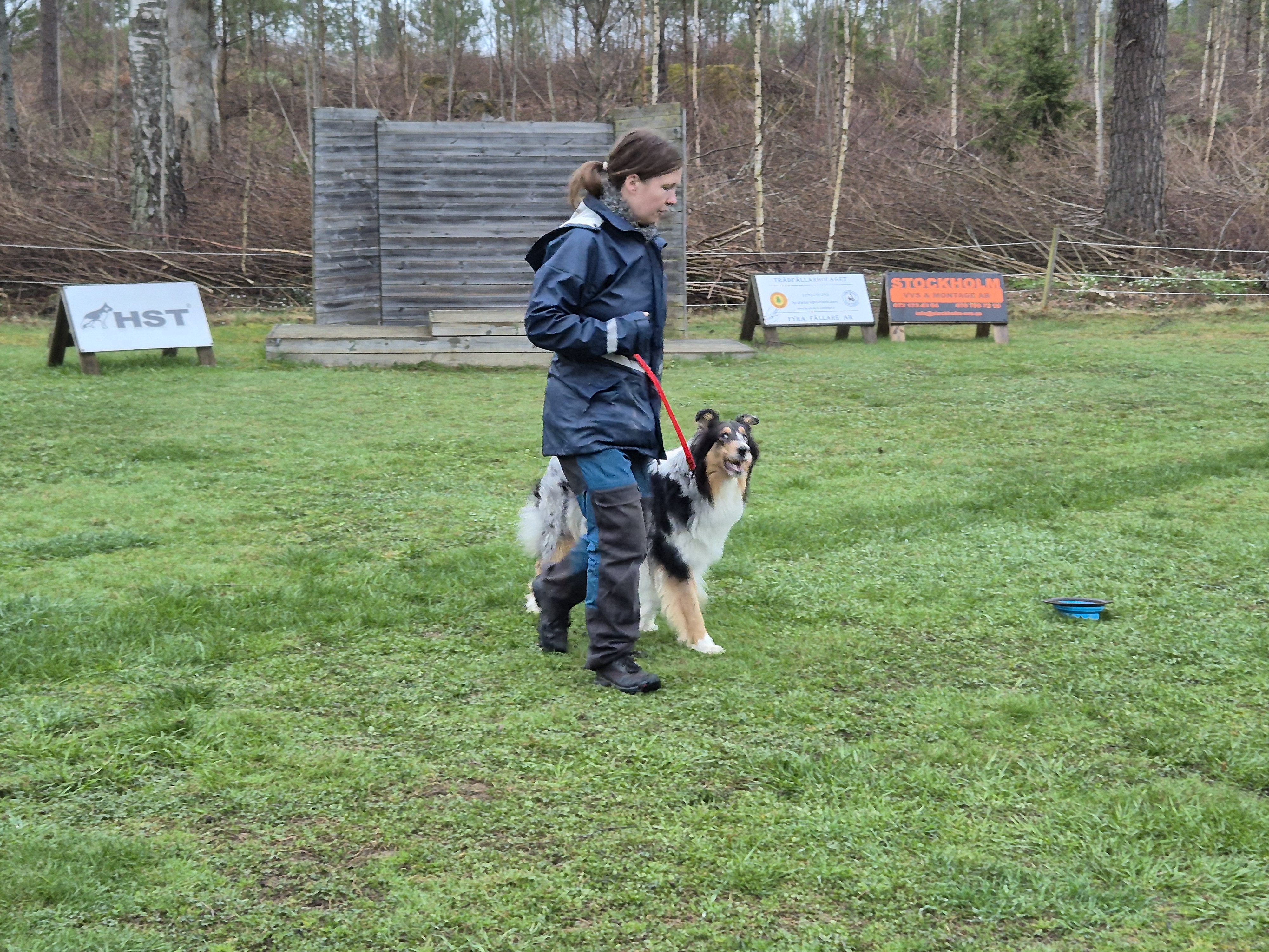 Skyddslydnadskurs IGP. Jozzan och Yuki.