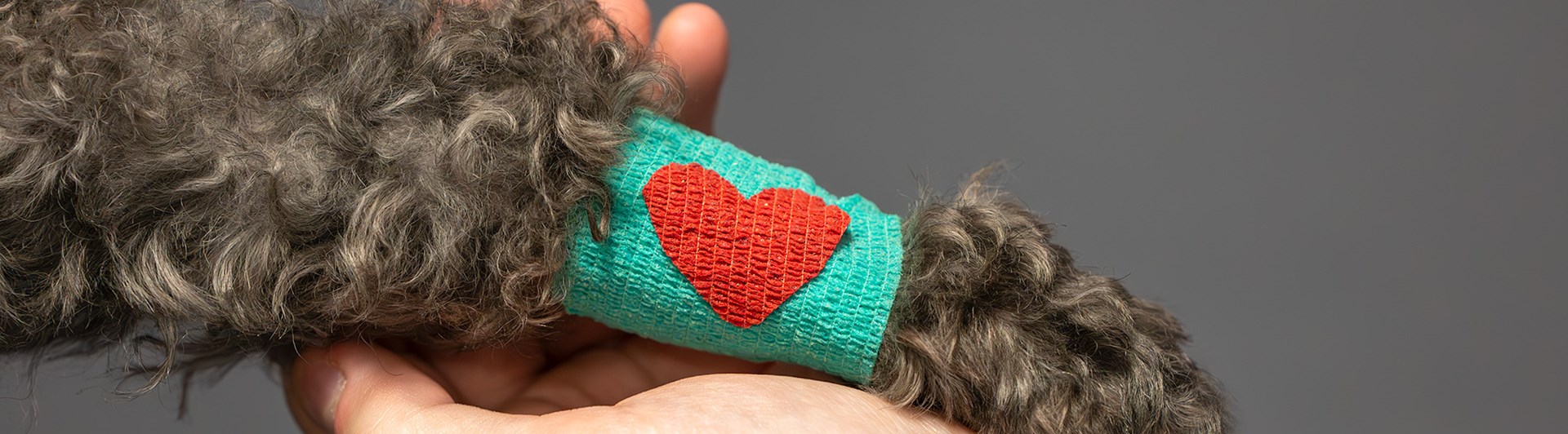 Hundtass med bandage